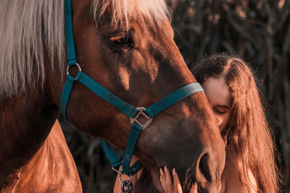 How Does Equine-Assisted Psychotherapy Help Trauma Survivors?