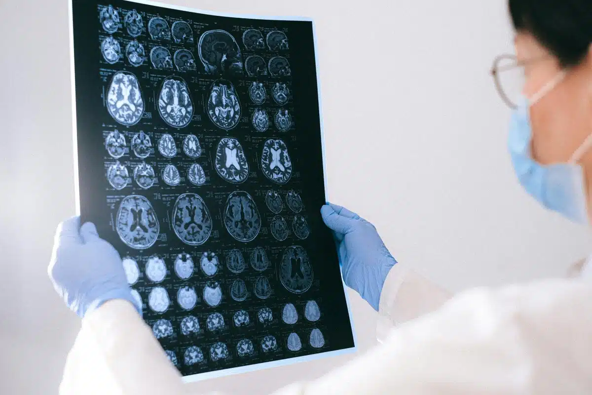 Understanding the Addicted Brain